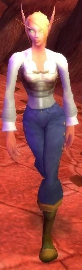 Wounded Blood Elf Pilgrim
