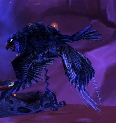 Male Kaliri Hatchling