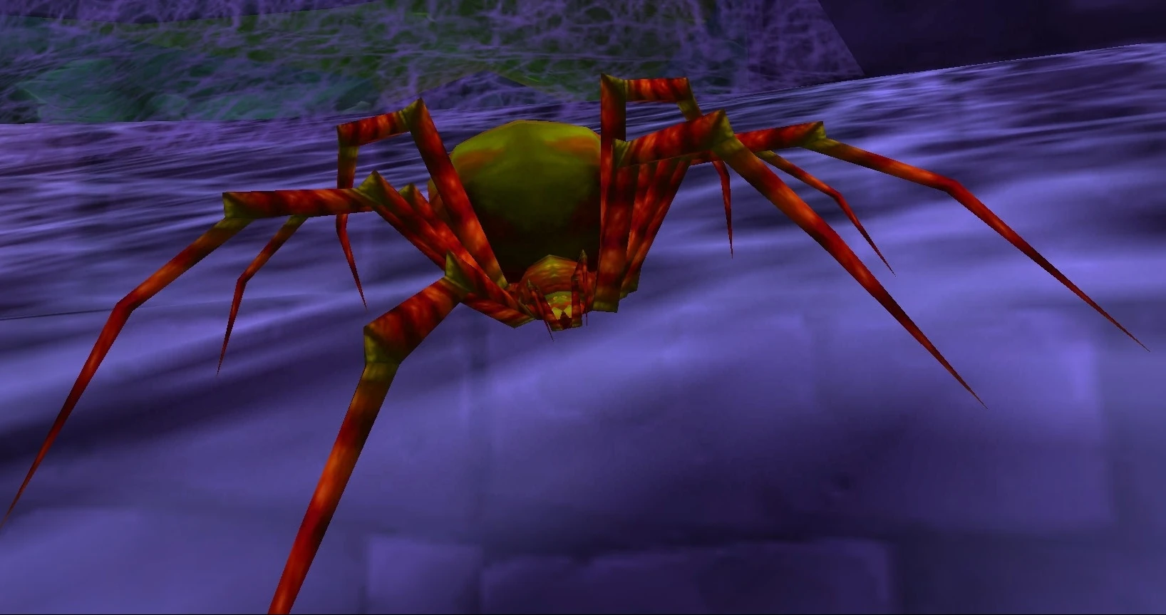 Maexxna Spiderling