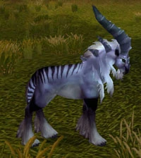 Talbuk Stag