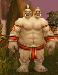 Boulderfist Mystic