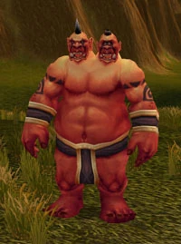 Boulderfist Mage