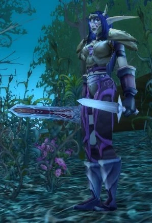 Sentinel Leader