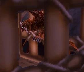 Captive Female Kaliri