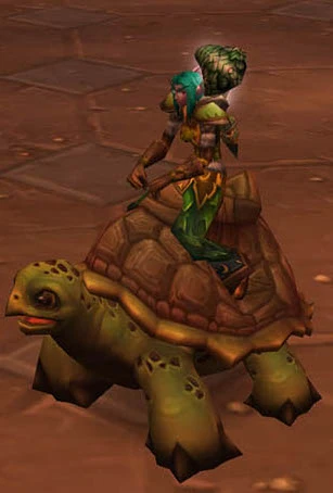 Riding Turtle