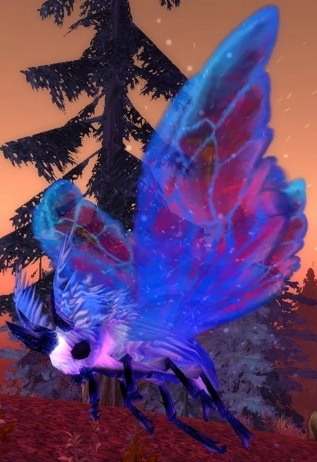 Royal Blue Flutterer