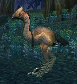Timberstrider Fledgling
