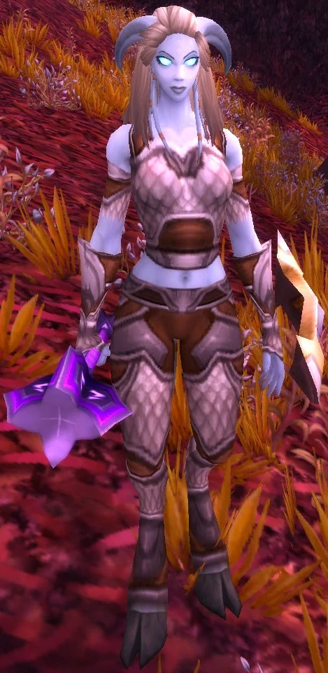 Defender Ursi