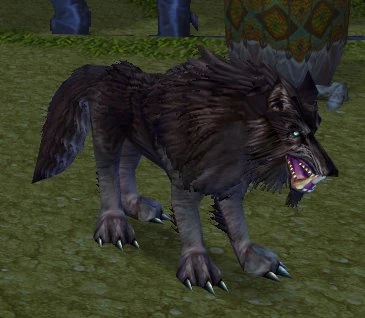 Dark Worg