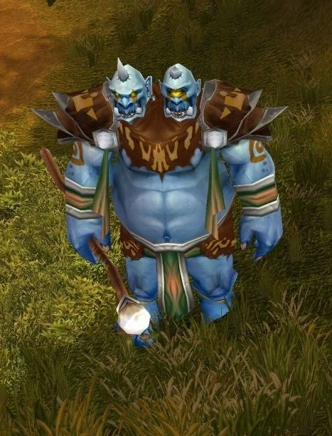 Warmaul Warlock