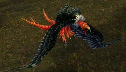 Carrion Vulture