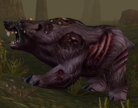 Diseased Grizzly