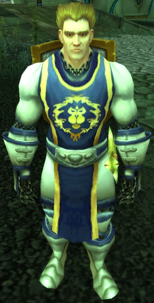 Allerian Defender