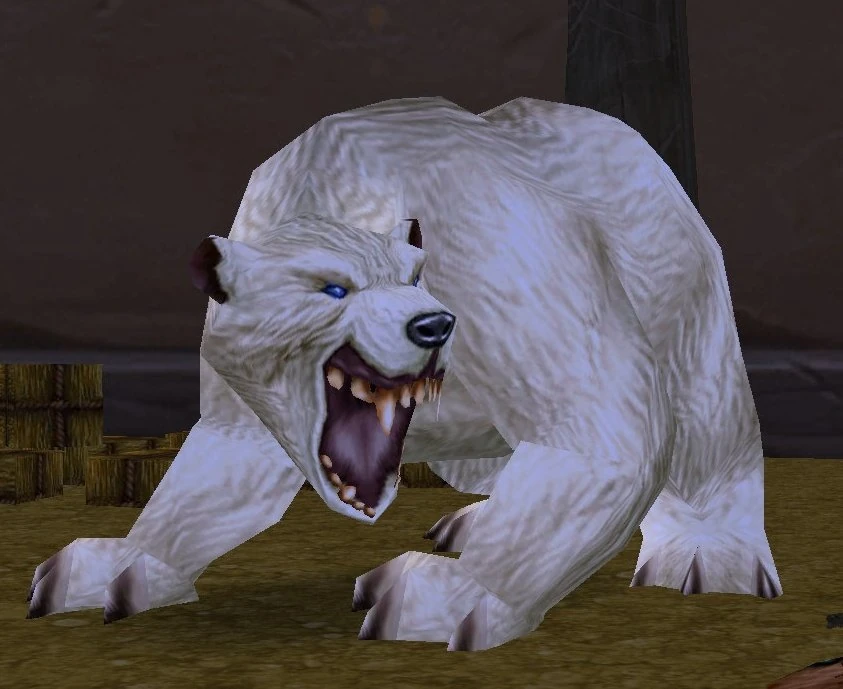 Stabled Bear