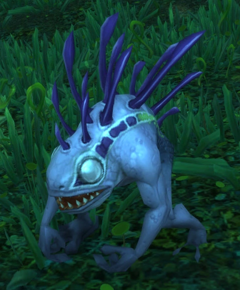 Vile Fin Oracle
