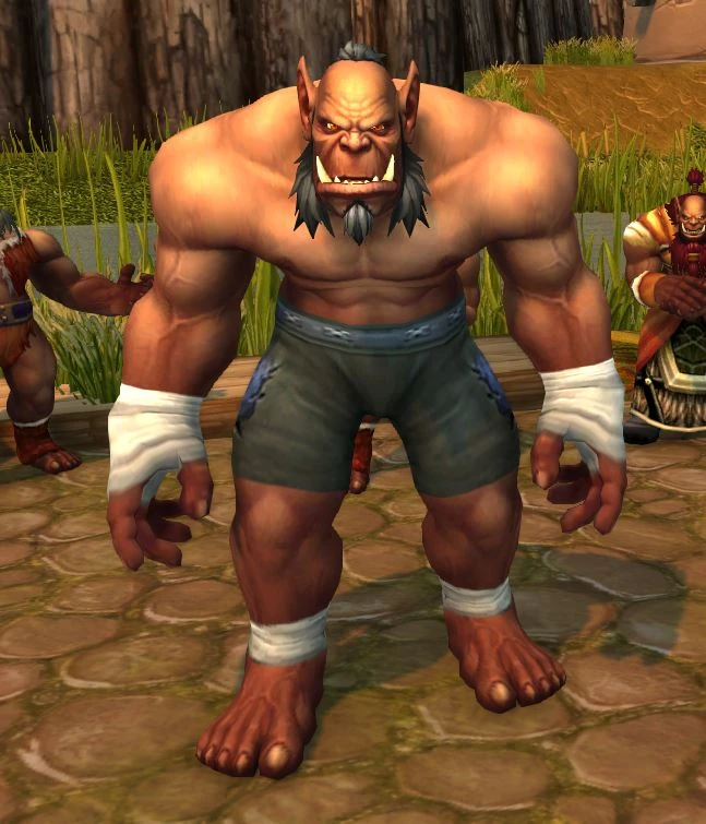 Mag'har Pitfighter