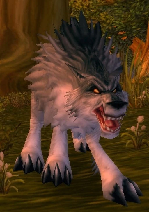 Gray Forest Wolf