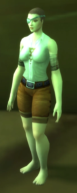 Silvermoon Practice Dummy