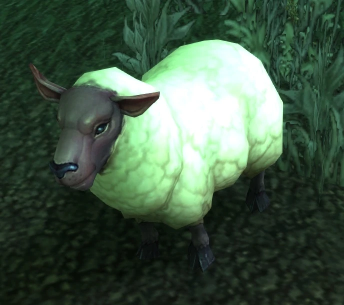 Ewe