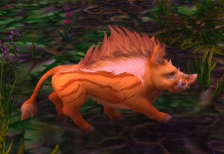 Young Thistle Boar