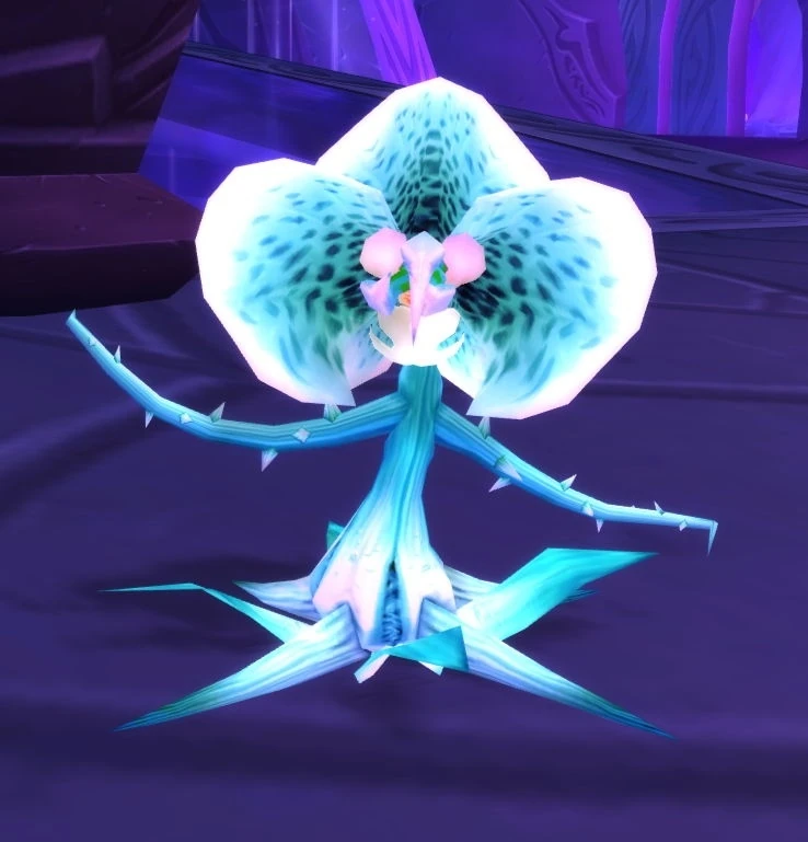 White Seedling