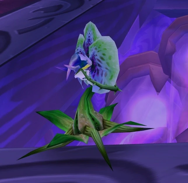 Green Seedling