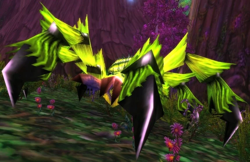 Giant Webwood Spider