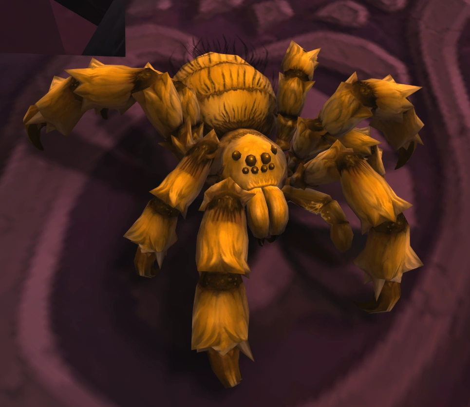 Blackfang Tarantula Specimen