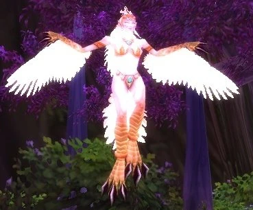 Bloodfeather Sorceress