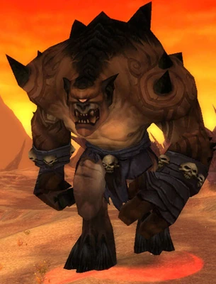 Maggoc
