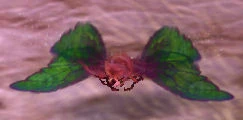 Red Moth