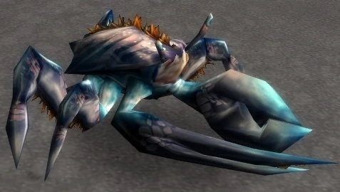 Pygmy Tide Crawler