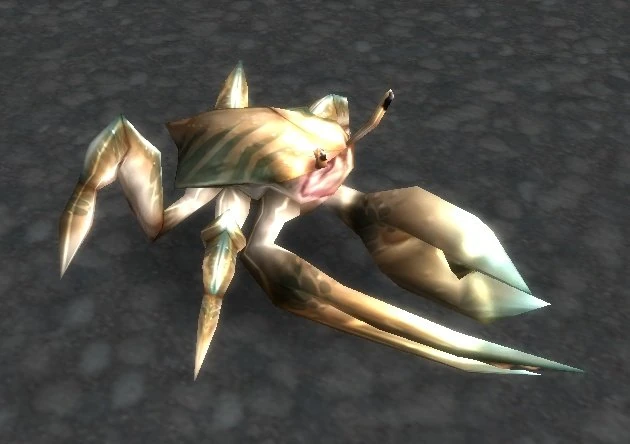 Young Reef Crawler