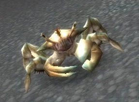 Reef Crawler