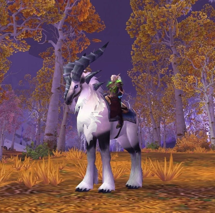 White Riding Talbuk