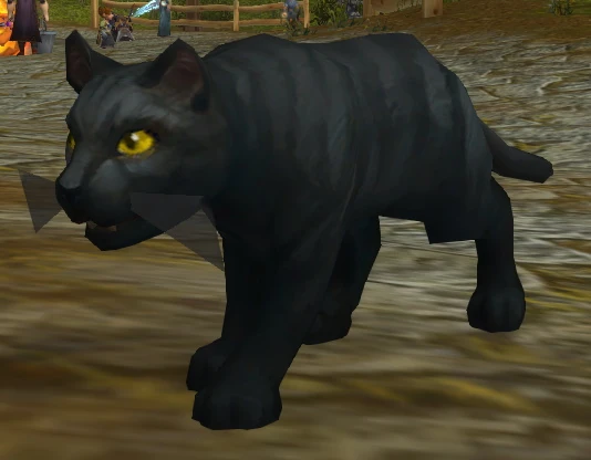 Black Cat