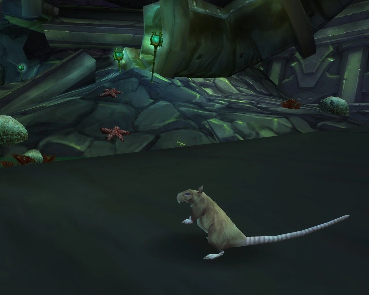 Sewer Rat