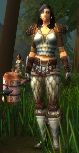 Tarren Mill Protector