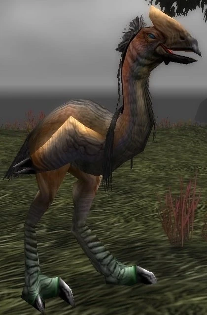 Foreststrider Fledgling