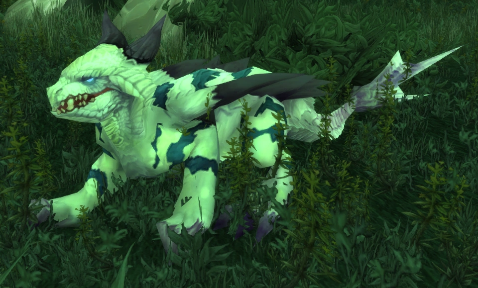 Blackwind Warp Chaser