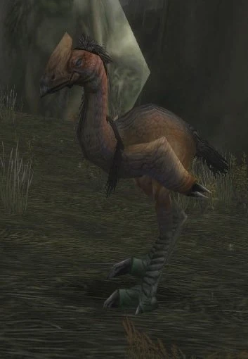 Foreststrider