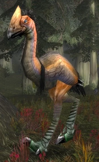Giant Foreststrider