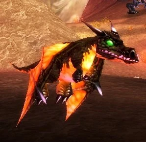 Black Dragon Whelpling