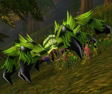 Giant Moss Creeper