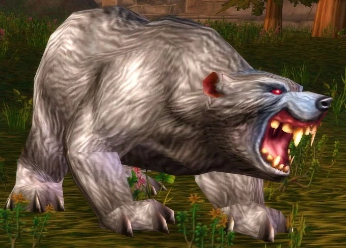 Elder Gray Bear