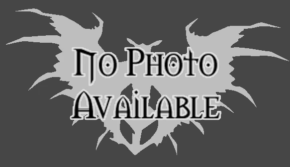 Amani Dragonhawk Hatchling