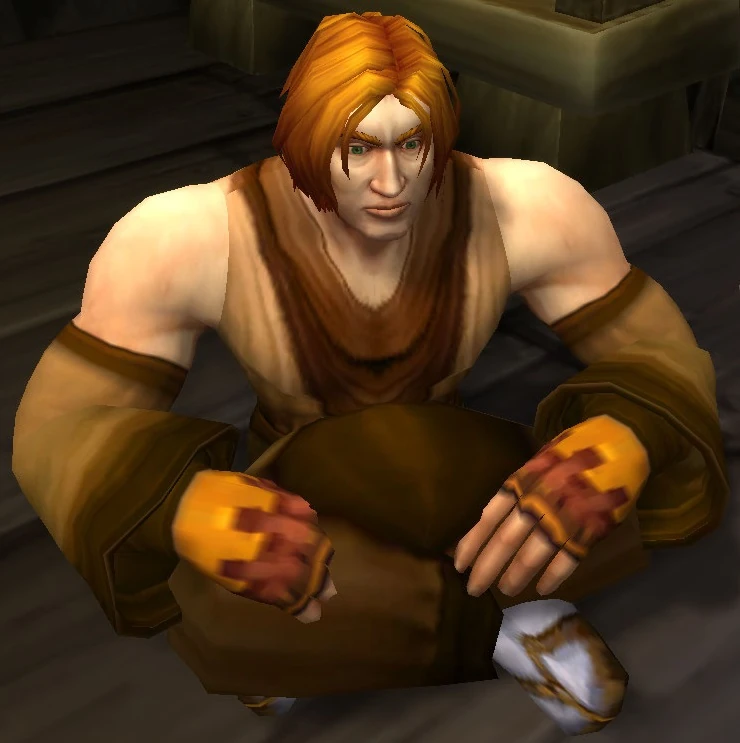 Apprentice Garion