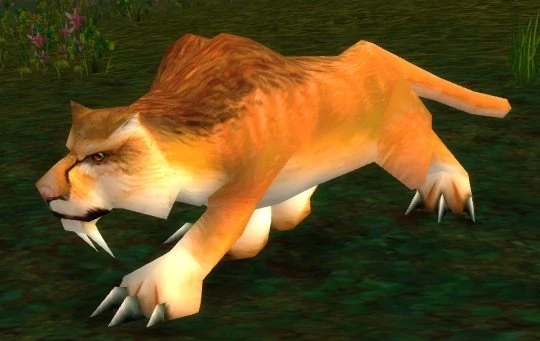 Starving Mountain Lion