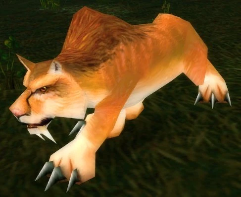 Feral Mountain Lion