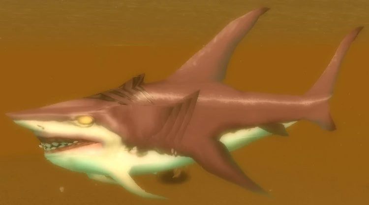 Lurking Shark